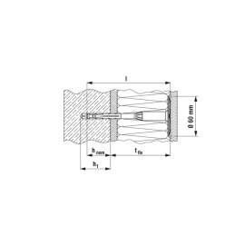 100 Stück fischer® Putzdübel FIF-CN II 8/60