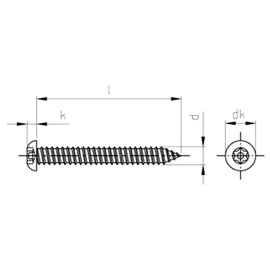 TX30 + PIN Bit für Sicherheitsschrauben, 1,85 €