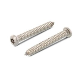 100 Stück Flachrundkopf-Sicherheitsschrauben Art. 9110 A2 3,5 x 19 mm ISK-PIN 2