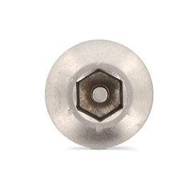 100 Stück Flachrundkopf-Sicherheitsschrauben Art. 9110 A2 3,5 x 19 mm ISK-PIN 2