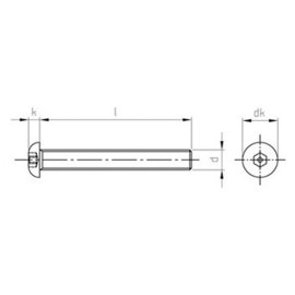 100 Stück Flachrundkopf-Sicherheitsschrauben Art. 9111 A2 M 4 x 6 mm ISK-PIN 2,5