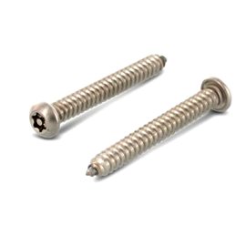 100 Stück Flachrundkopf-Sicherheitsschrauben Art. 9120 A2 5,5 x 19 mm TX-PIN 27