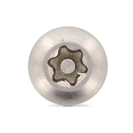 100 Stück Flachrundkopf-Sicherheitsschrauben Art. 9120 A2 6,3 x 25 mm TX-PIN 27