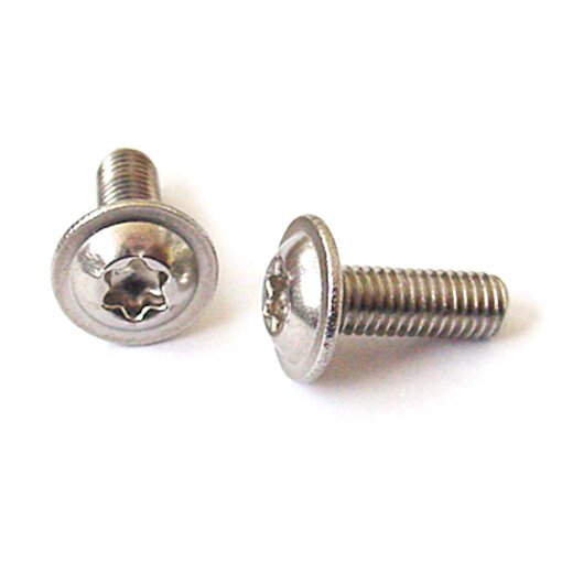 200 Stück Linsenflanschschrauben ISO 7380-2 A2 Torx M6 x 14