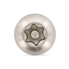 100 Stück Flachrundkopf-Sicherheitsschrauben Art. 9121 A2 M 3 x 10 mm TX-PIN 10