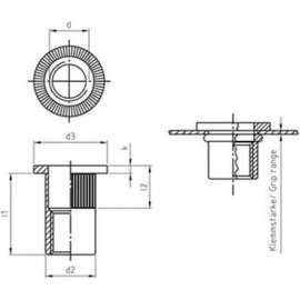 250 Stück Blindnietmuttern A2 Flachkopf M12 x 23