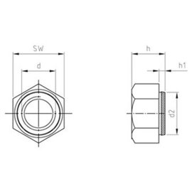 100 Stück Setzmuttern Edelstahl A2 M2