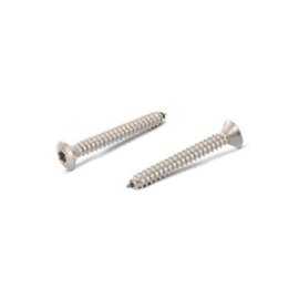 1000 Stück Linsensenkblechschrauben ISO 14587 A2 Torx 2,2 x 16