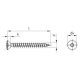 100 Stück Spanplattenschrauben Linsensenkkopf A2 Torx 5,0 x 100