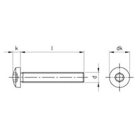 50 Stück Linsenschrauben ISO 14583 A2 Torx M10 x 100