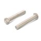 100 Stück Sicherheitsschrauben Halbrundkopf A2 M8x 20 mm