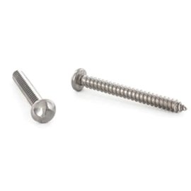 100 Stück Sicherheitsschrauben Halbrundkopf A2 4,2 x 16 mm