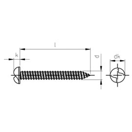100 Stück Sicherheitsschrauben Halbrundkopf A2 4,2 x 16 mm