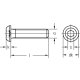 Linsenschrauben ISO 7380-1 10.9 galv. verzinkt getempert