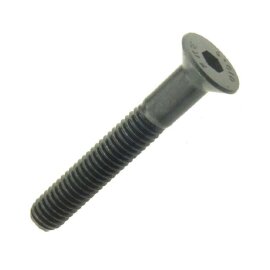 200 Stück Senkschrauben mit Innensechskant ISO 10642 8.8 blank M6 x 55