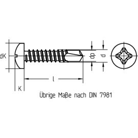 1000 Stück Bohrschrauben DIN 7504-M galv. verzinkt 4,2 x 38
