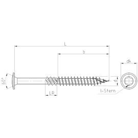 25 St&uuml;ck Tellerkopfschrauben galv. verzinkt 10 x 450