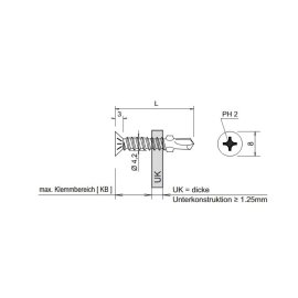 1000 Stück Flügelbohrschrauben E-VS BOHR 2 FLT...