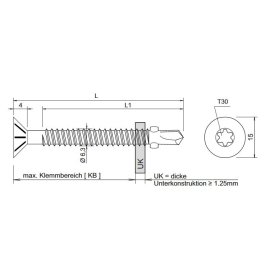 250 Stück Flügelbohrschrauben E-VS BOHR T30 FLT 6,3 x 45 mm