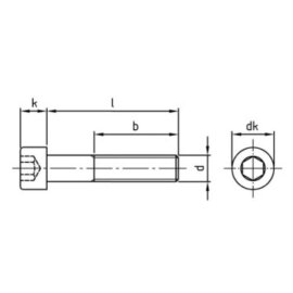 1000 Stück Zylinderschrauben ISO 4762 (DIN 912) A2 M 3x25