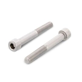 500 Stück Zylinderschrauben ISO 4762 (DIN 912) A4 M2 x 22