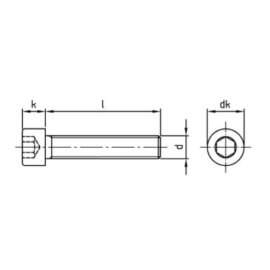 500 Stück Zylinderschrauben ISO 4762 (DIN 912) A4 M5 x 8