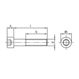 50 Stück Zylinderschrauben ISO 4762 (DIN 912) A4 M10 x 100