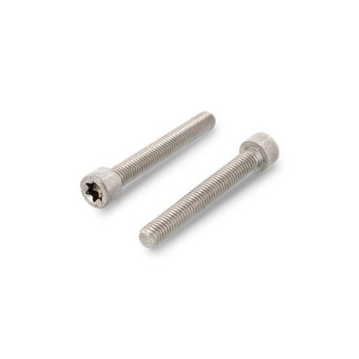 200 Stück Zylinderschrauben ISO 14579 A2 Torx M 6x30 TX30