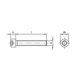 200 Stück Zylinderschrauben ISO 14579 A2 Torx M 6x30 TX30