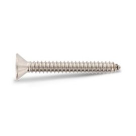 100 Stück Sicherheitsschrauben Senkkopf mit ISK + Pin A2 5,5x13 mm