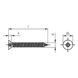 100 Stück Sicherheitsschrauben Senkkopf mit ISK + Pin A2 5,5x13 mm