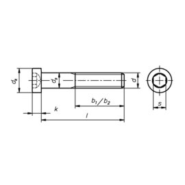 100 Stück Zylinderschrauben DIN 7984 Zn M5 x 20