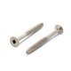 500 Stück Spanplattenschrauben A2 Torx TG 3,5x30/18 TX10