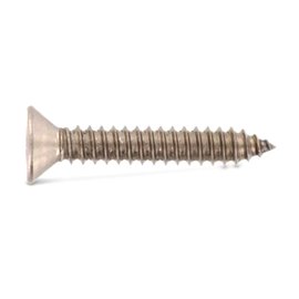 100 Stück Sicherheitsschrauben Senkkopf A2 3,5x38 Art.9122