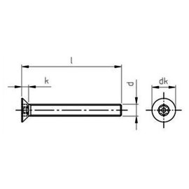 100 Stk. Sicherheitsschrauben Senkkopf Torx+Pin Art. 9123 A2 M4x10