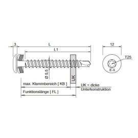 100 Stk. Bohrschrauben E-X T25 BOHR 2 12 5,5 x 25 mm