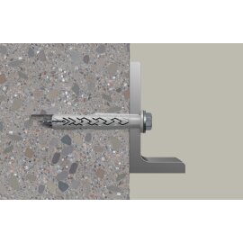 50 Stk. fischer® Langschaftdübel SXRL 10x200 FUS